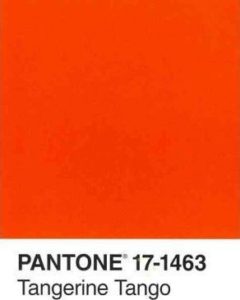 Pantone's 2012 Color of the Year ~ Tangerine Tango 17-1463