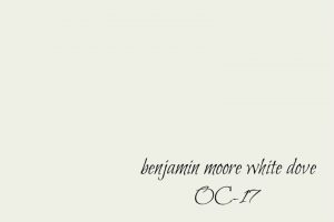 One of Our Favorite Whites ~ Benjamin Moore Dove White OC 17